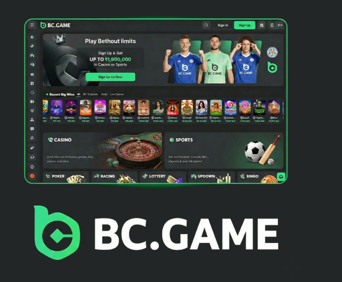 BC.Game Online Casino Your Gateway to an Exciting Gaming Experience